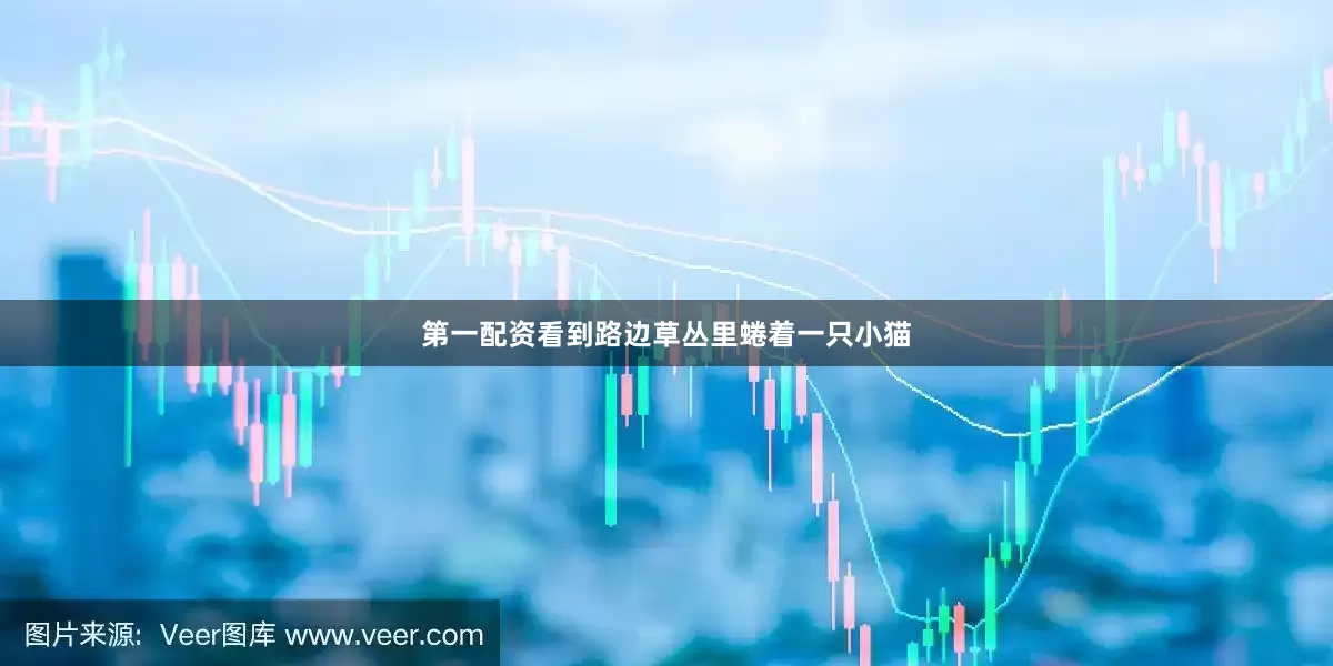 第一配资看到路边草丛里蜷着一只小猫