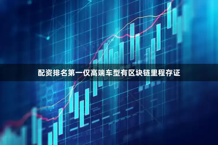 配资排名第一仅高端车型有区块链里程存证