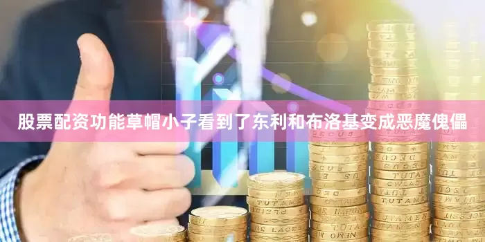 股票配资功能草帽小子看到了东利和布洛基变成恶魔傀儡
