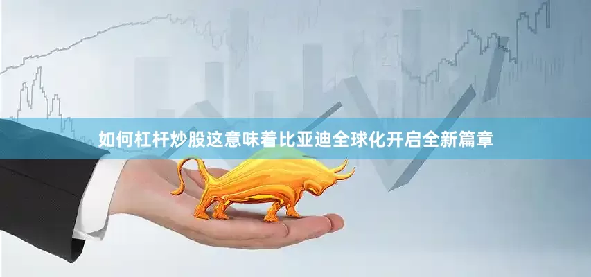 如何杠杆炒股这意味着比亚迪全球化开启全新篇章